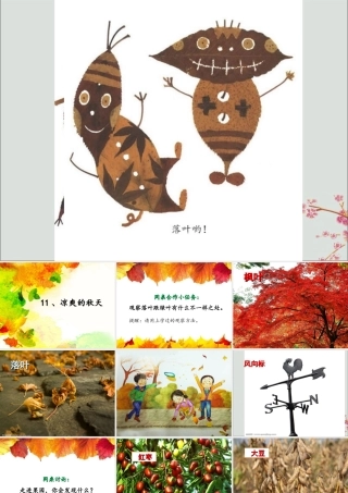 一年级科学上册 第四单元 四季 11 凉爽的秋天课件 （新版）粤教版-（新版）粤教版小学一年级上册自然科学课件