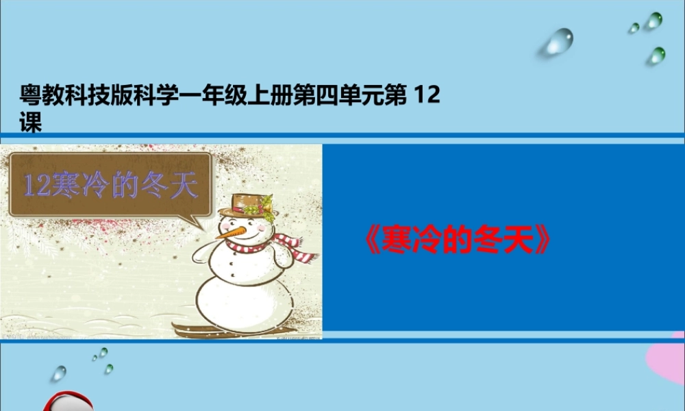 一年级科学上册 第四单元 四季 12 寒冷的冬天课件 （新版）粤教版-（新版）粤教版小学一年级上册自然科学课件