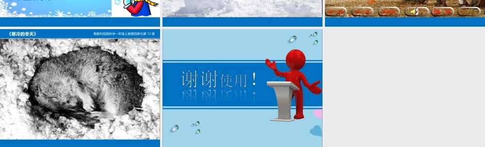 一年级科学上册 第四单元 四季 12 寒冷的冬天课件 （新版）粤教版-（新版）粤教版小学一年级上册自然科学课件