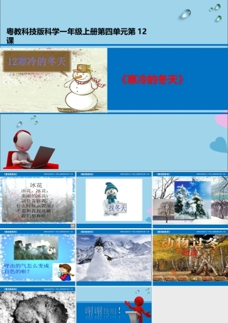 一年级科学上册 第四单元 四季 12 寒冷的冬天课件 （新版）粤教版-（新版）粤教版小学一年级上册自然科学课件