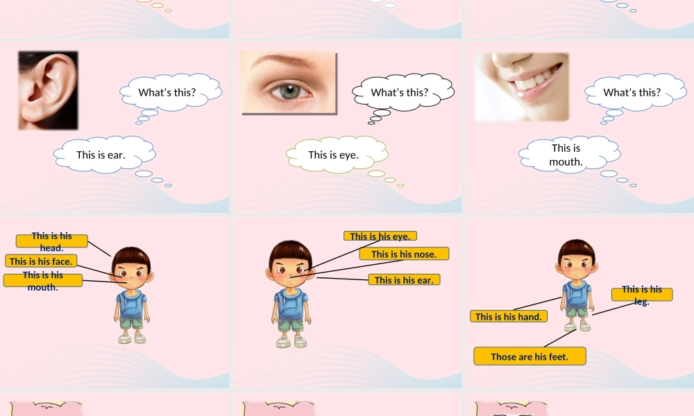 一年级英语下册 Module 4 unit 2 these are your eyes课件 外研版（一起）-外研版小学一年级下册英语课件