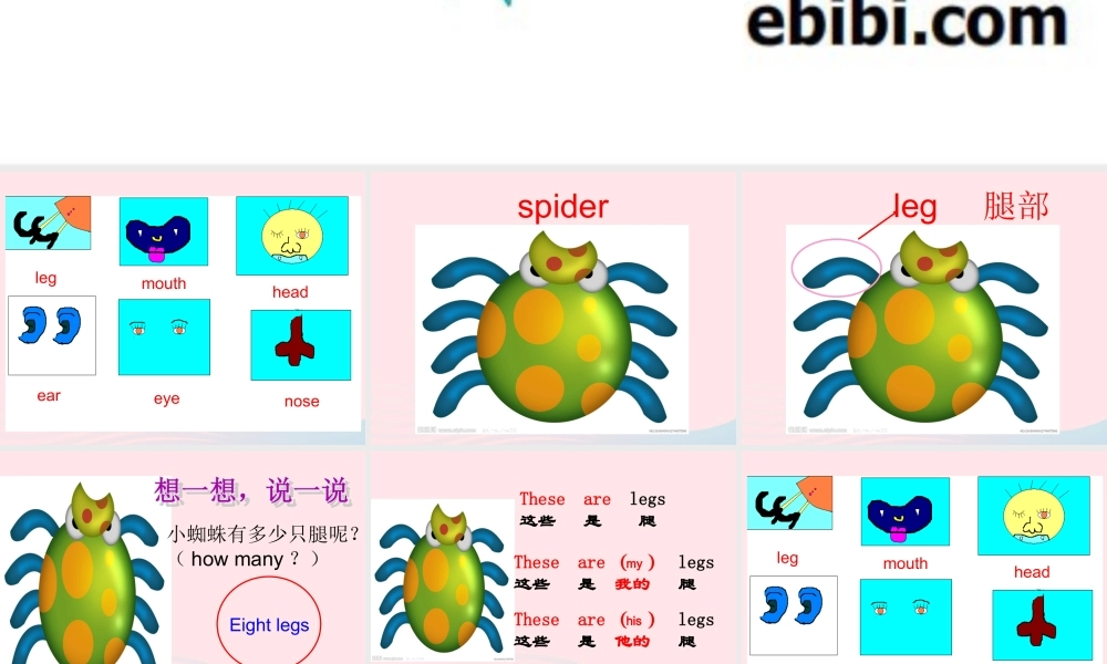 一年级英语下册 Module 4 Unit 2 These are your legs课件 外研版（一起）-外研版小学一年级下册英语课件