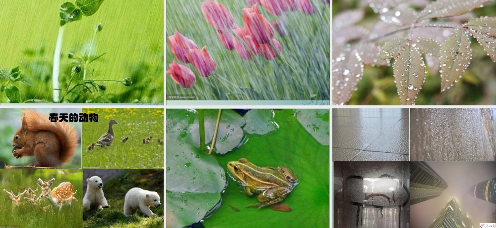 一年级科学上册 第四单元 四季 13 温暖的春天课件 （新版）粤教版-（新版）粤教版小学一年级上册自然科学课件