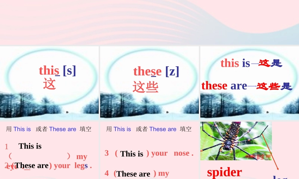 一年级英语下册 Module 4 Unit 2 These are your legs课件1 外研版（一起）-外研版小学一年级下册英语课件