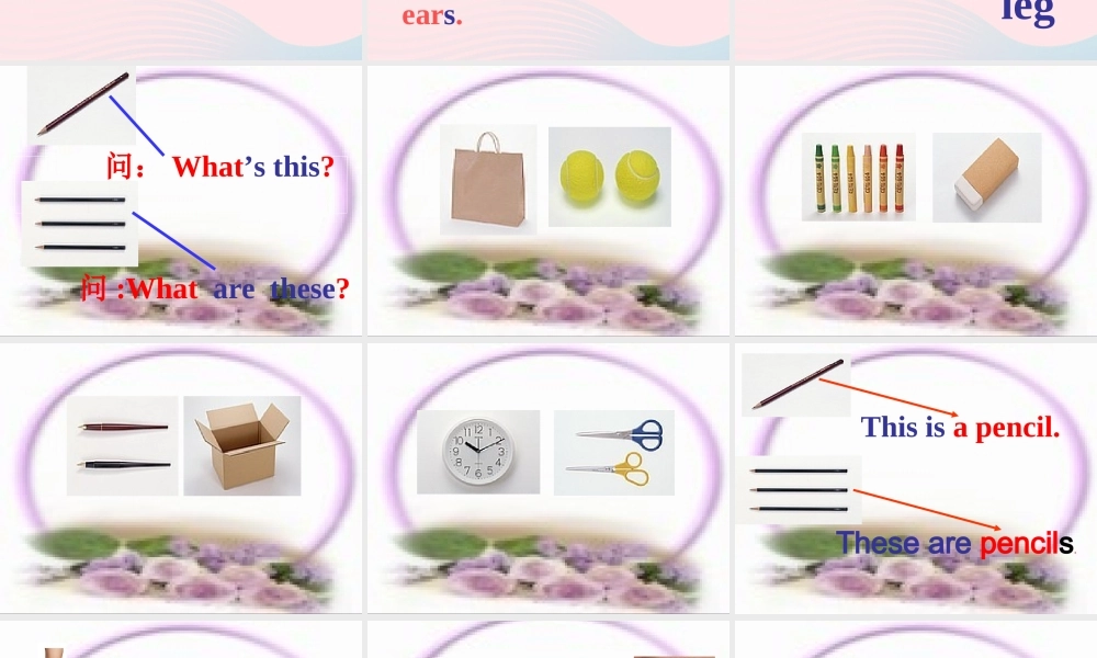 一年级英语下册 Module 4 Unit 2 These are your legs课件1 外研版（一起）-外研版小学一年级下册英语课件