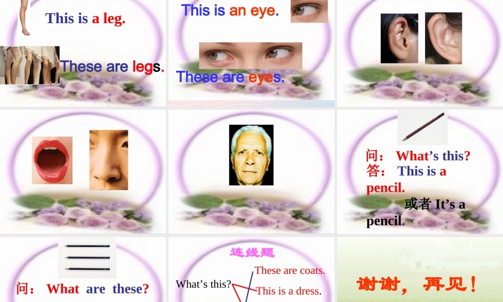 一年级英语下册 Module 4 Unit 2 These are your legs课件1 外研版（一起）-外研版小学一年级下册英语课件