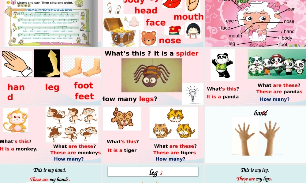 一年级英语下册 Module 4 Unit 2 These are your legs课件2 外研版（一起）-外研版小学一年级下册英语课件