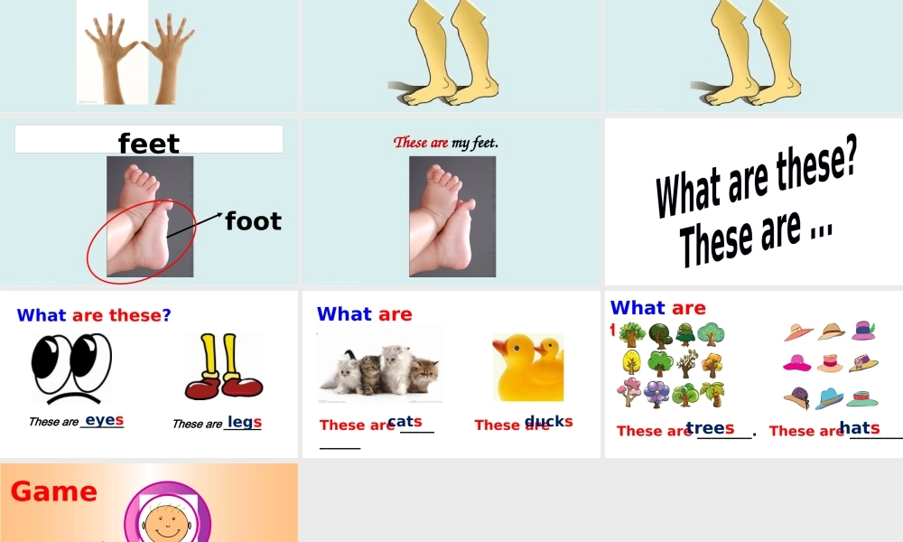 一年级英语下册 Module 4 Unit 2 These are your legs课件2 外研版（一起）-外研版小学一年级下册英语课件