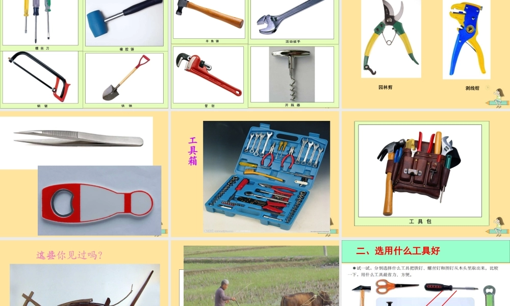 一年级科学上册 第五单元 常见的工具 2 其他常见工具课件（新版）湘科版-人教版小学一年级上册自然科学课件