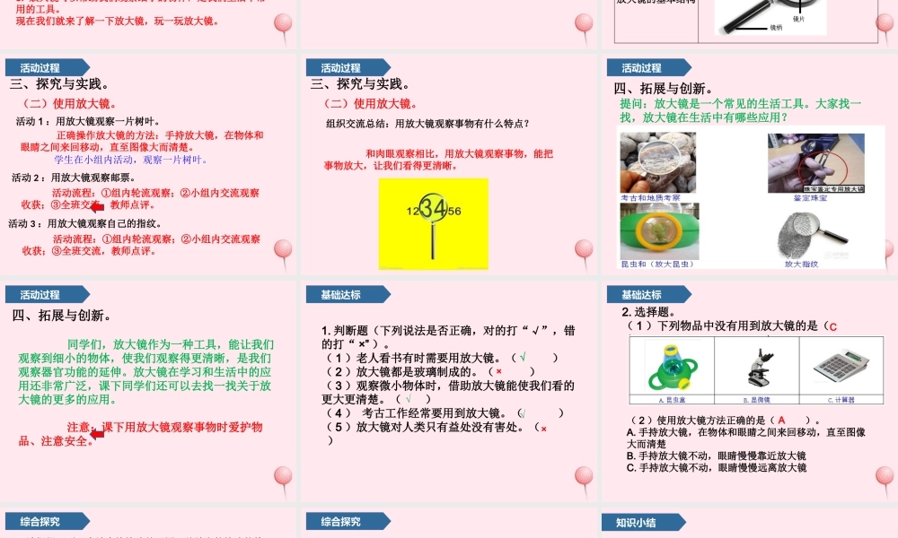 一年级科学上册 第五单元 工具是个好帮手 15 放大镜课件 青岛版五四制-青岛版小学一年级上册自然科学课件