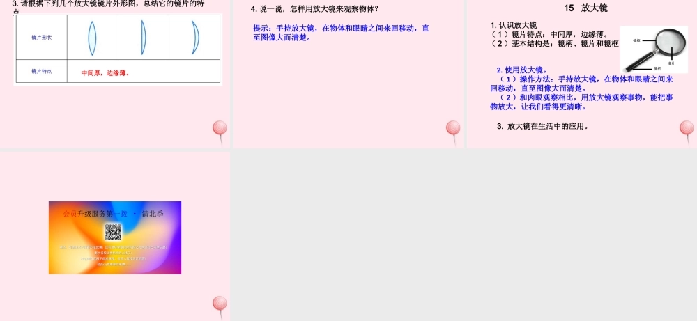 一年级科学上册 第五单元 工具是个好帮手 15 放大镜课件 青岛版五四制-青岛版小学一年级上册自然科学课件