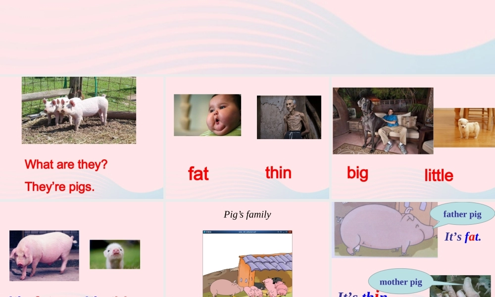 一年级英语下册 Module 5 Unit 2 It’s thin课件 外研版（一起）-外研版小学一年级下册英语课件