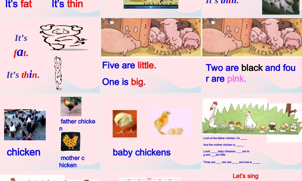 一年级英语下册 Module 5 Unit 2 It’s thin课件 外研版（一起）-外研版小学一年级下册英语课件