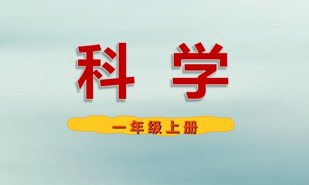 一年级科学上册 第一单元 认识大自然 1 走进大自然课件3 （新版）粤教版-（新版）粤教版小学一年级上册自然科学课件