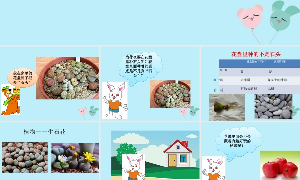 一年级科学上册 第一单元 认识大自然 2 我有好奇心课件 （新版）粤教版-（新版）粤教版小学一年级上册自然科学课件