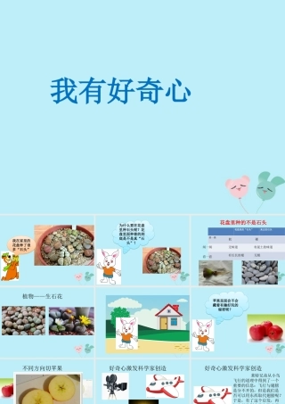 一年级科学上册 第一单元 认识大自然 2 我有好奇心课件 （新版）粤教版-（新版）粤教版小学一年级上册自然科学课件