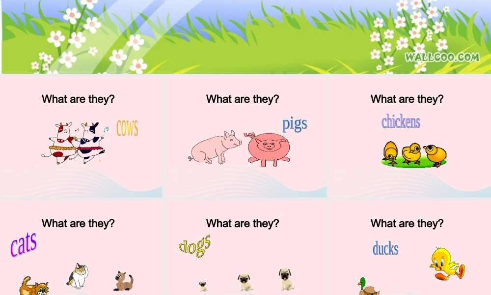 一年级英语下册 Module 5 Unit 2 It’s thin课件2 外研版（一起）-外研版小学一年级下册英语课件