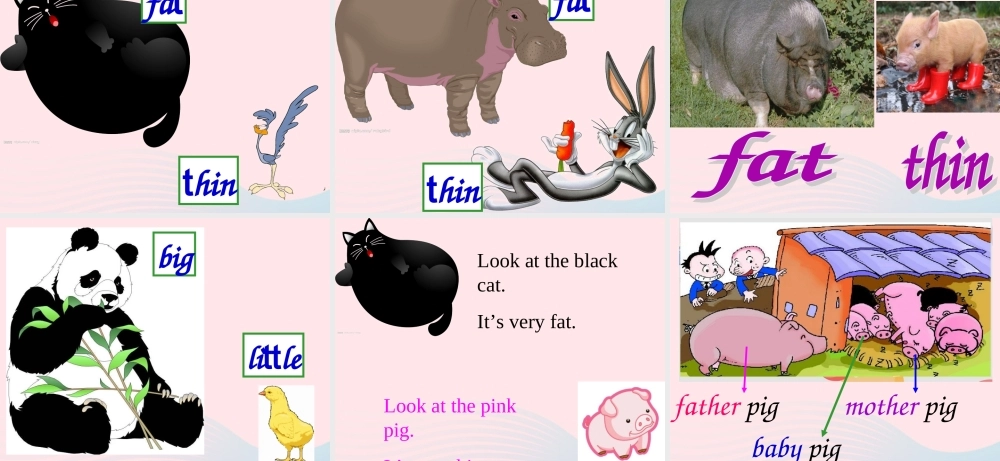 一年级英语下册 Module 5 Unit 2 It’s thin课件2 外研版（一起）-外研版小学一年级下册英语课件