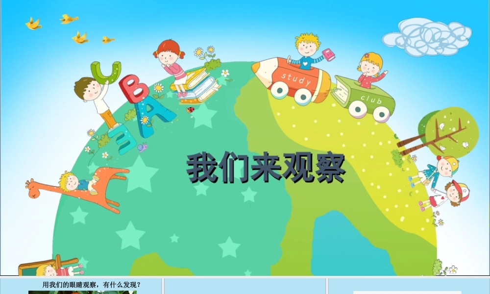 一年级科学上册 第一单元 认识大自然 3 我们来观察课件3 （新版）粤教版-（新版）粤教版小学一年级上册自然科学课件