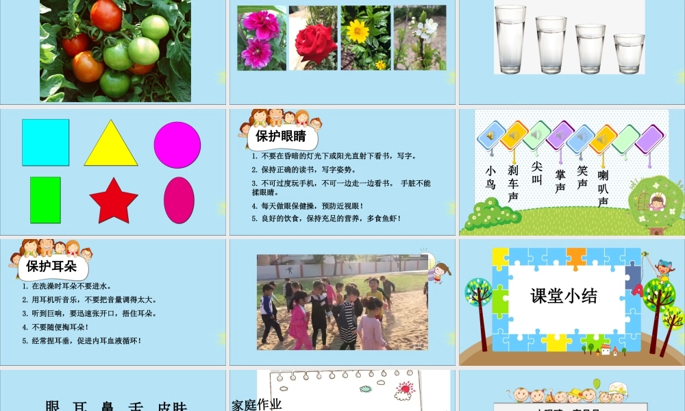 一年级科学上册 第一单元 认识大自然 3 我们来观察课件3 （新版）粤教版-（新版）粤教版小学一年级上册自然科学课件