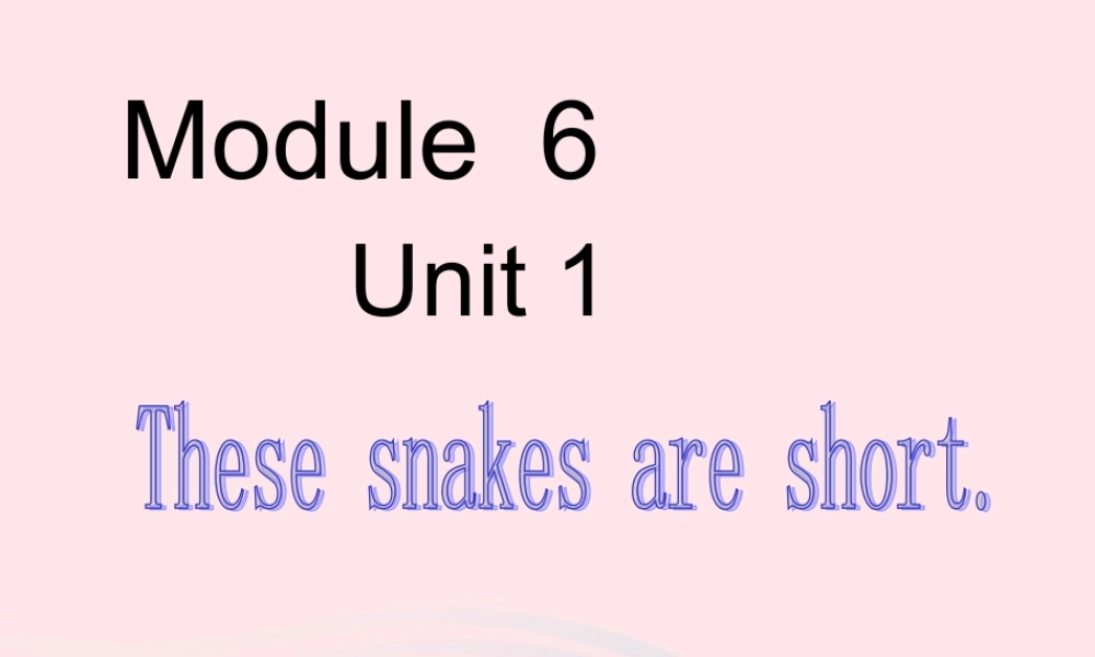 一年级英语下册 Module 6 unit 1 These snakes are short课件2 外研版（一起）-外研版小学一年级下册英语课件