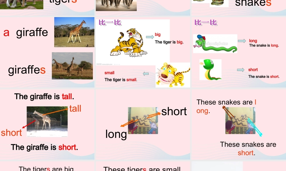 一年级英语下册 Module 6 unit 1 These snakes are short课件2 外研版（一起）-外研版小学一年级下册英语课件