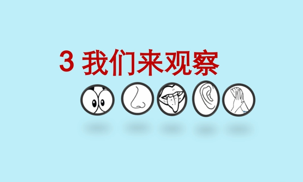 一年级科学上册 第一单元 认识大自然 3 我们来观察课件4 （新版）粤教版-（新版）粤教版小学一年级上册自然科学课件