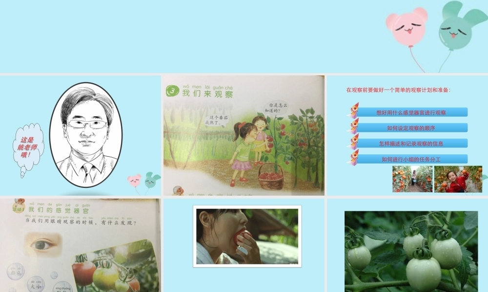 一年级科学上册 第一单元 认识大自然 3 我们来观察课件4 （新版）粤教版-（新版）粤教版小学一年级上册自然科学课件