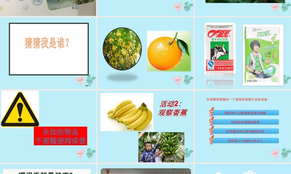 一年级科学上册 第一单元 认识大自然 3 我们来观察课件4 （新版）粤教版-（新版）粤教版小学一年级上册自然科学课件