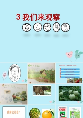 一年级科学上册 第一单元 认识大自然 3 我们来观察课件4 （新版）粤教版-（新版）粤教版小学一年级上册自然科学课件