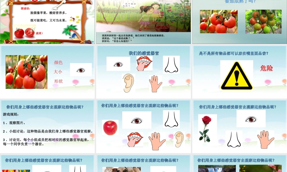 一年级科学上册 第一单元 认识大自然 3 我们来观察课件5 （新版）粤教版-（新版）粤教版小学一年级上册自然科学课件