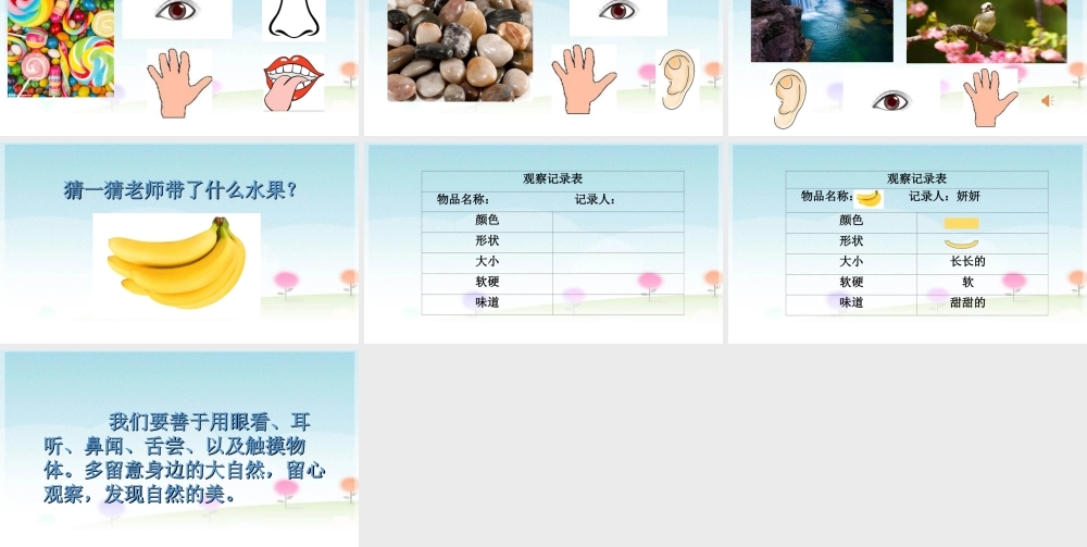 一年级科学上册 第一单元 认识大自然 3 我们来观察课件5 （新版）粤教版-（新版）粤教版小学一年级上册自然科学课件