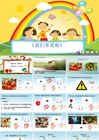 一年级科学上册 第一单元 认识大自然 3 我们来观察课件5 （新版）粤教版-（新版）粤教版小学一年级上册自然科学课件