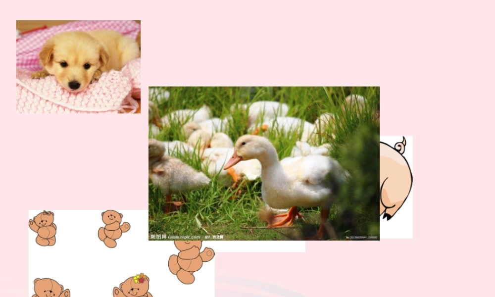 一年级英语下册 Module 6 unit 1 These snakes are short课件3 外研版（一起）-外研版小学一年级下册英语课件