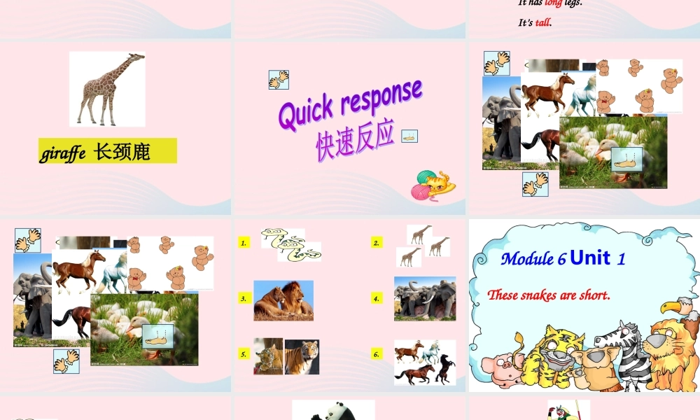 一年级英语下册 Module 6 unit 1 These snakes are short课件3 外研版（一起）-外研版小学一年级下册英语课件