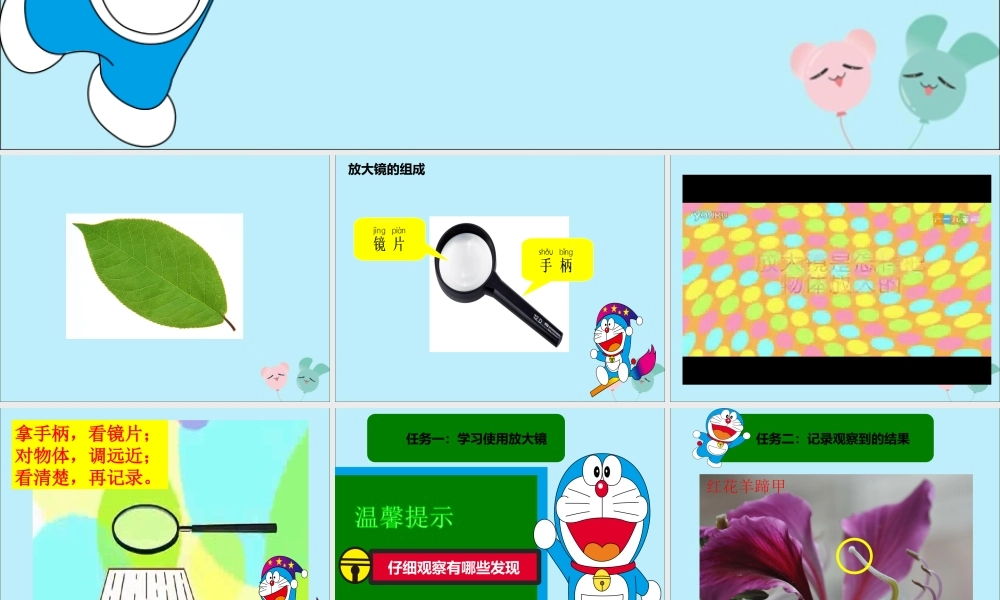 一年级科学上册 第一单元 认识大自然 4 学会运用工具课件2 （新版）粤教版-（新版）粤教版小学一年级上册自然科学课件