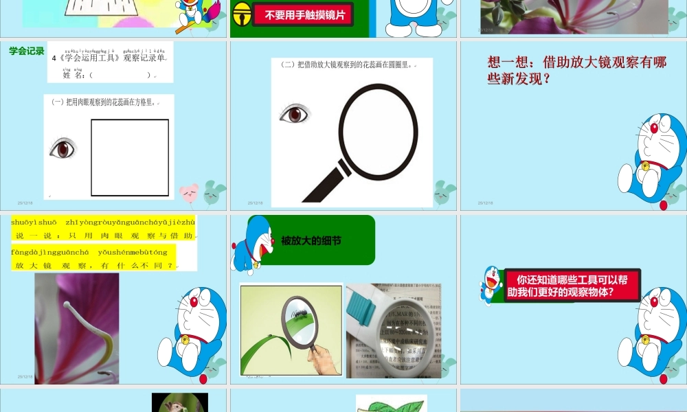 一年级科学上册 第一单元 认识大自然 4 学会运用工具课件2 （新版）粤教版-（新版）粤教版小学一年级上册自然科学课件