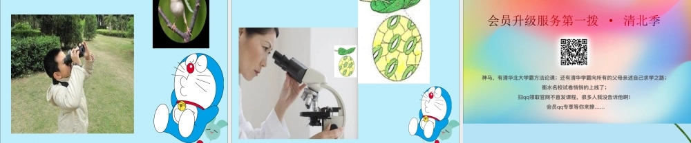 一年级科学上册 第一单元 认识大自然 4 学会运用工具课件2 （新版）粤教版-（新版）粤教版小学一年级上册自然科学课件