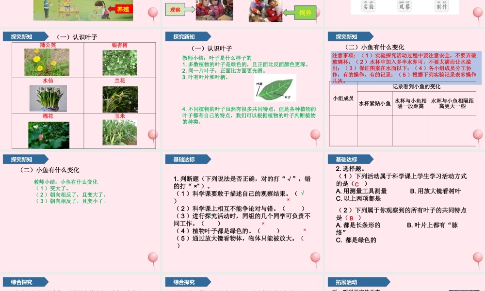 一年级科学上册 第一单元 我们一起学科学 1 走进科学课课件 青岛版五四制-青岛版小学一年级上册自然科学课件
