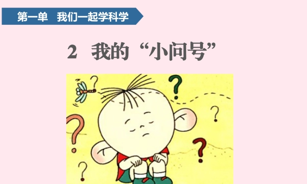 一年级科学上册 第一单元 我们一起学科学 2 我的小问号课件 青岛版五四制-青岛版小学一年级上册自然科学课件