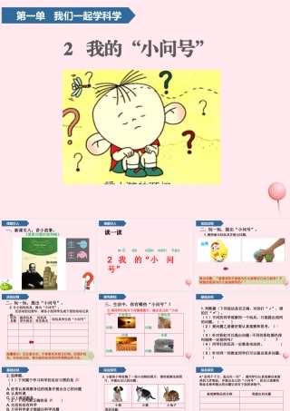 一年级科学上册 第一单元 我们一起学科学 2 我的小问号课件 青岛版五四制-青岛版小学一年级上册自然科学课件