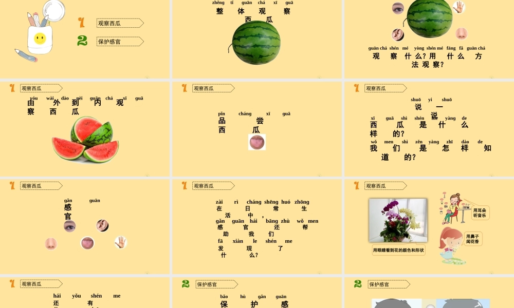 一年级科学上册 第一单元 走进科学 1 让我们从观察开始教学课件（新版）湘科版-人教版小学一年级上册自然科学课件