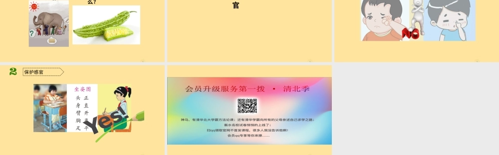 一年级科学上册 第一单元 走进科学 1 让我们从观察开始教学课件（新版）湘科版-人教版小学一年级上册自然科学课件