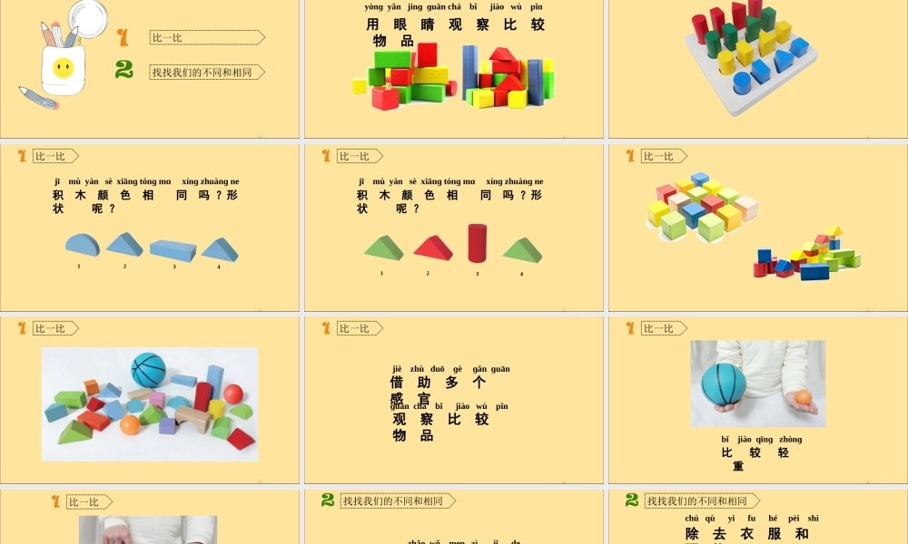 一年级科学上册 第一单元 走进科学 2 找物体的相同和不同教学课件（新版）湘科版-人教版小学一年级上册自然科学课件