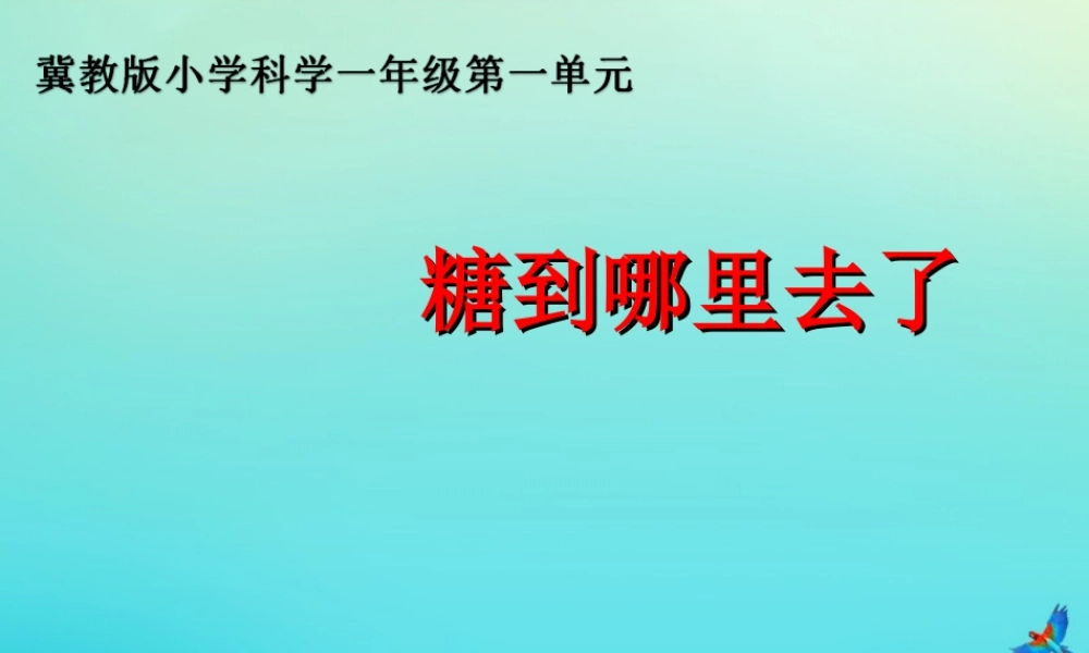一年级科学下册 1 水和空气 2 糖到哪去了课件 冀人版-人教版小学一年级下册自然科学课件