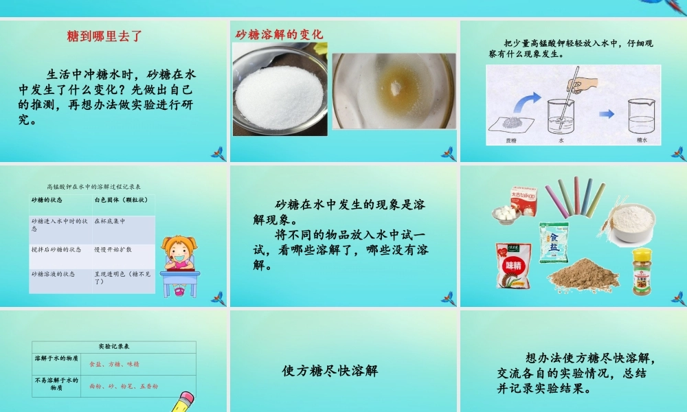 一年级科学下册 1 水和空气 2 糖到哪去了课件 冀人版-人教版小学一年级下册自然科学课件