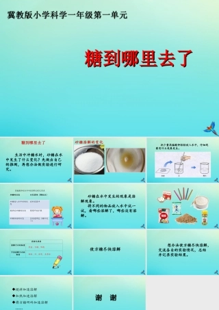 一年级科学下册 1 水和空气 2 糖到哪去了课件 冀人版-人教版小学一年级下册自然科学课件