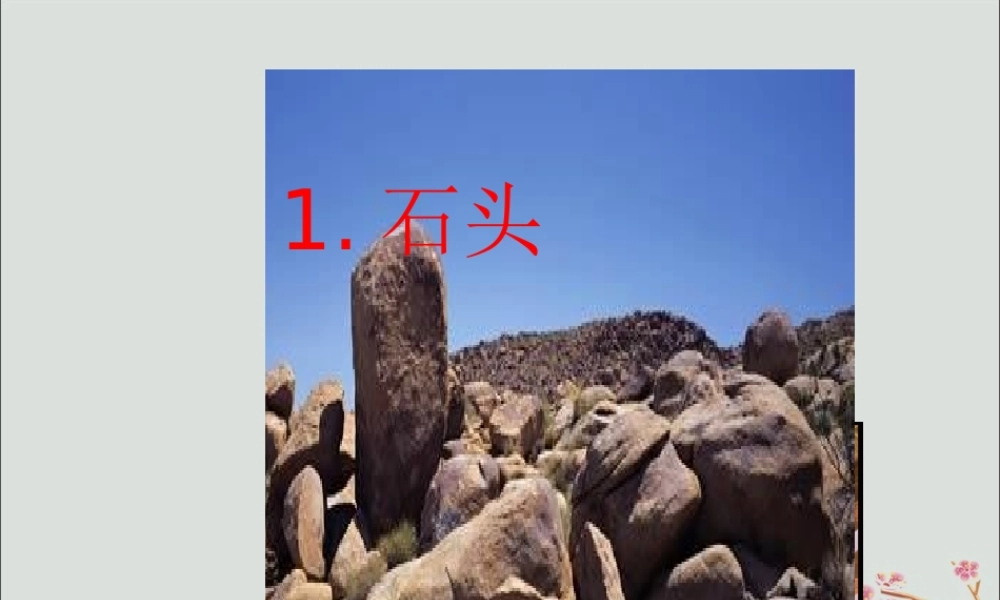 一年级科学下册 1.1 石头课件2 苏教版-苏教版小学一年级下册自然科学课件