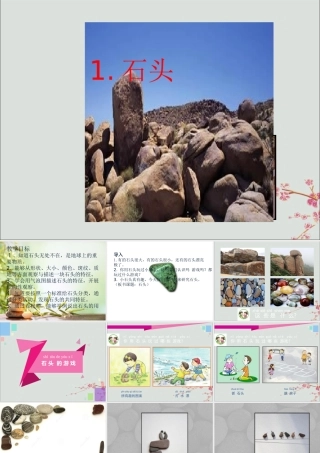 一年级科学下册 1.1 石头课件2 苏教版-苏教版小学一年级下册自然科学课件