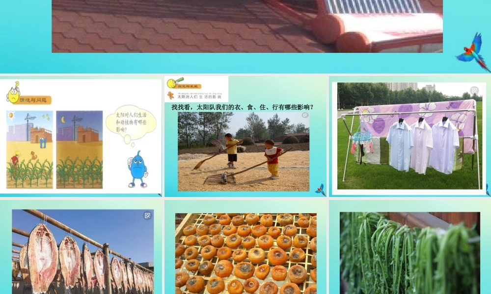 一年级科学下册 2 太阳和月亮 7 太阳与生活课件 冀人版-人教版小学一年级下册自然科学课件